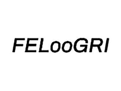 FELOOGRI