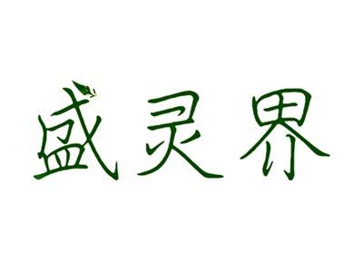 盛灵界