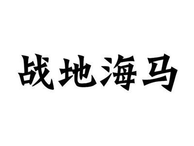 战地海马