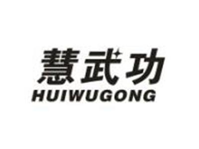 慧武功