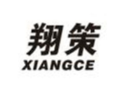 翔策