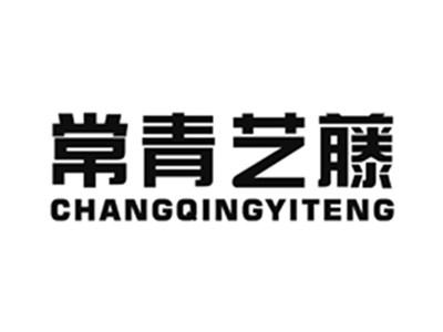 常青艺藤
