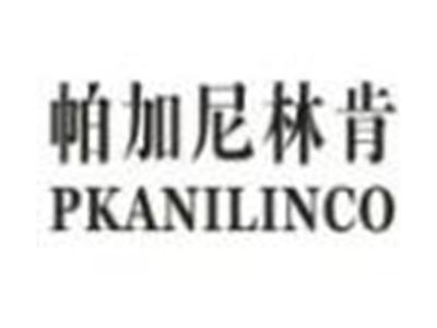 帕加尼林肯PKANILINCO