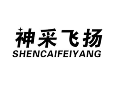 神采飞扬