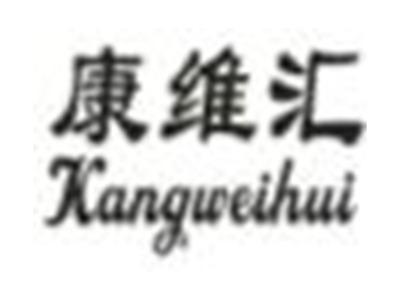 康维汇