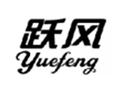 跃风