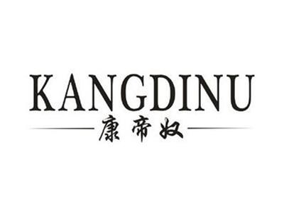 康帝奴