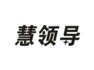 慧领导