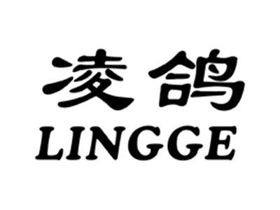 凌鸽
