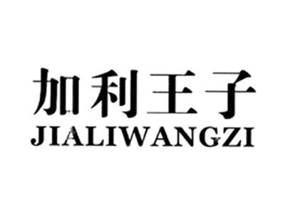 加利王子