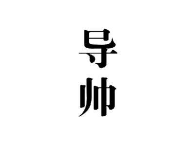 导帅