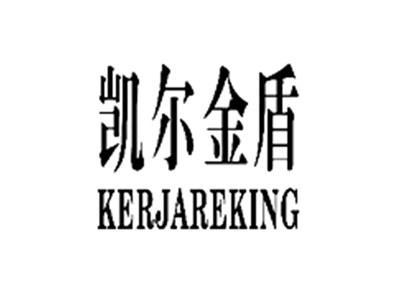 凯尔金盾