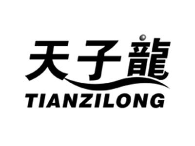 天子龙