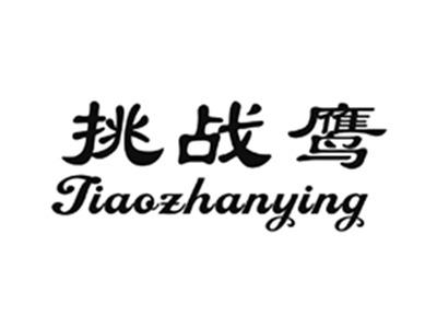 挑战鹰