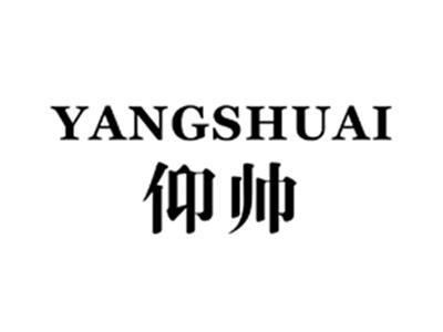 仰帅