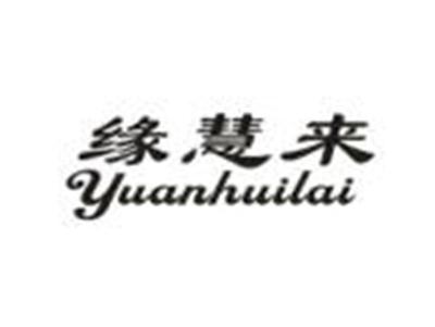 缘慧来