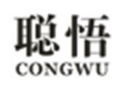 聪悟