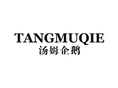 汤姆企鹅