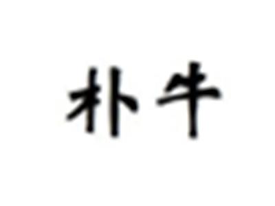 朴牛