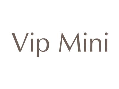 VIPMINI