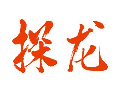 探龙