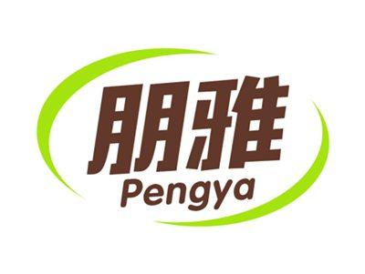 朋雅