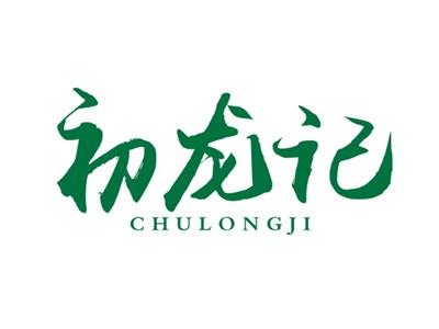 初龙记