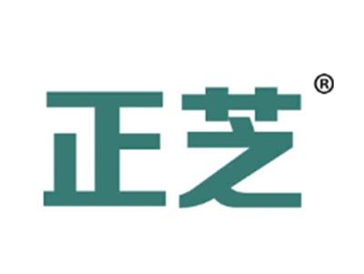 正芝