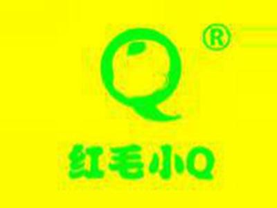 红毛小Q
