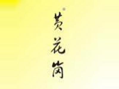 卡都驰