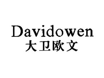 大卫欧文DAVIDOWEN