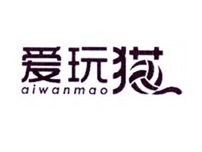爱玩猫
