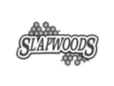 SLAPWOODS