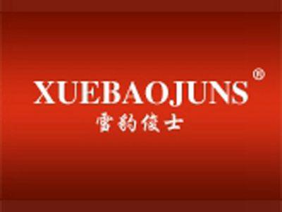 雪豹俊士XUEBAOJUNS