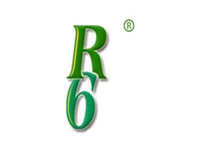 R6