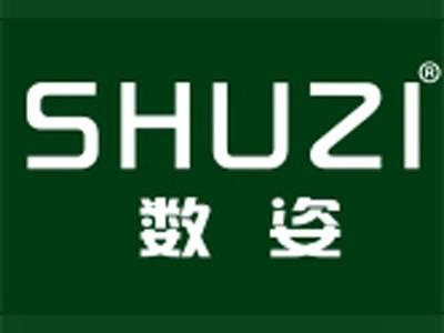 数姿SHUZI