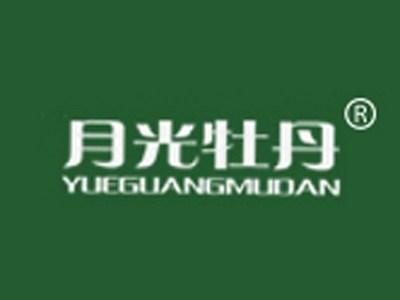 月光牡丹YUEGUANGMUDAN