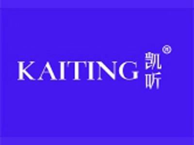 凯听