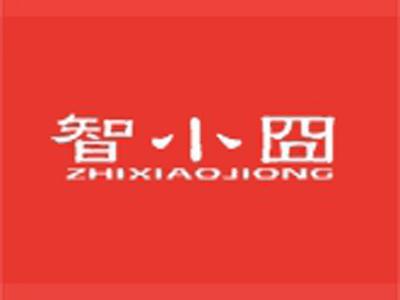 智小囧+拼音