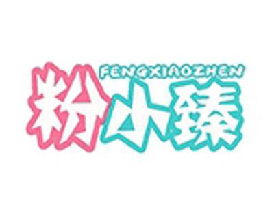 粉小臻+拼音
