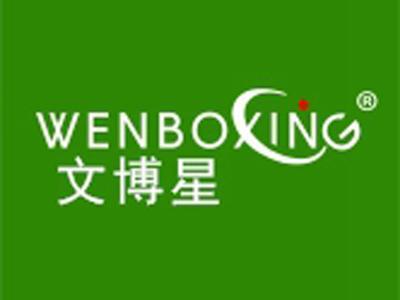 文博星+拼音