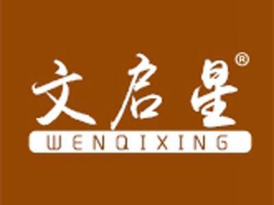 文启星+拼音