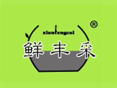 鲜丰采