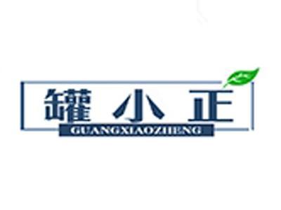罐小正+拼音