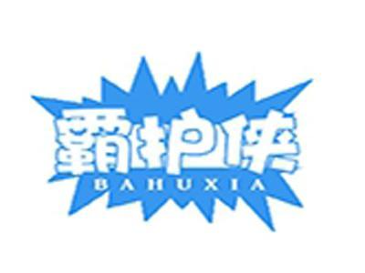 霸护侠+拼音