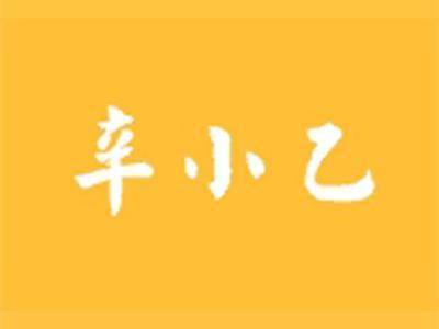 辛小乙