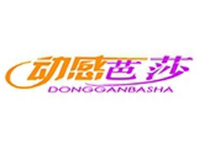 动感芭莎+拼音