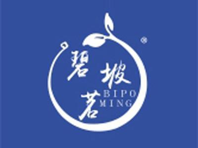 碧坡茗+拼音
