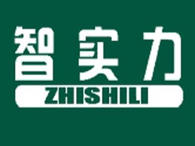 智实力