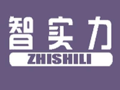 智实力